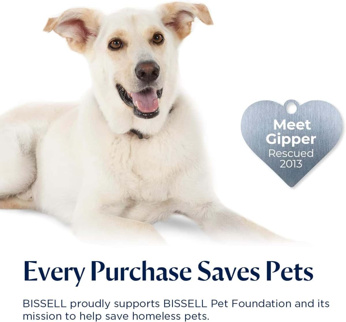 BISSELL® SpinWave Pet Hard Floor Corded Spin Mop Cleaner with Washable mop Pads for Sealed Hard Floors, 20399