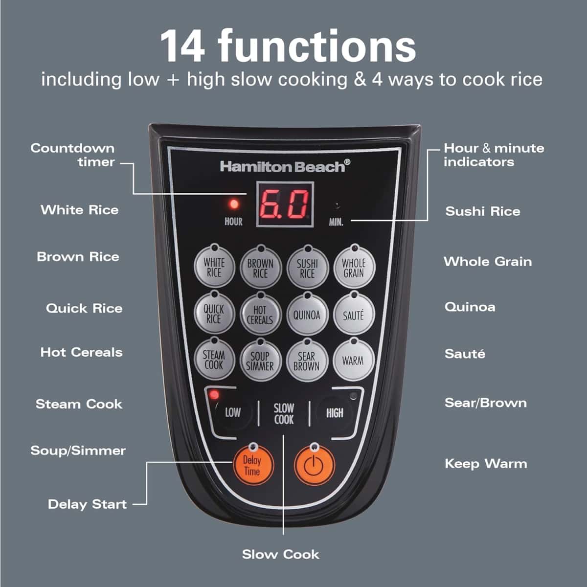 Hamilton Beach Digital Programmable Rice and Slow Cooker & Food Steamer, 20 Cups Cooked (10 Cups Uncooked), 14 Pre-Programmed Settings for Sear Sauté, Hot Cereal, Soup, Nonstick Pot, Stainless Steel (37571MN)