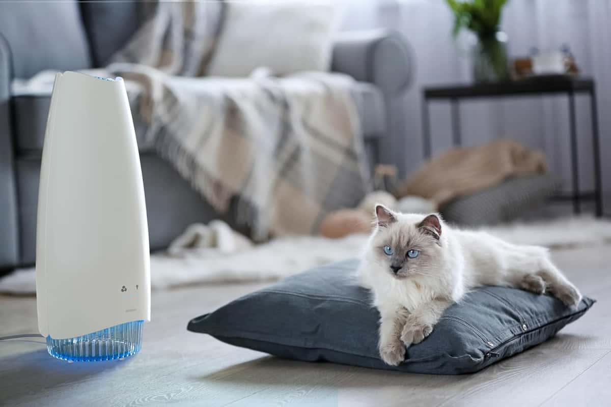 Airfree Elite Filterless Silent Room Air Purifier, No Maintenance, Destroys 99.99% Mold, Bacteria, Viruses, Activatable Capsules traps odors, smoke, area 750 sq ft (White)