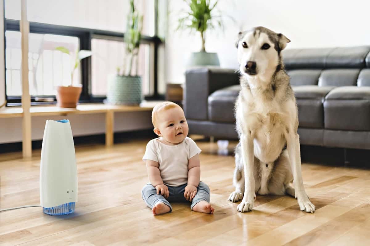 Airfree Elite Filterless Silent Room Air Purifier, No Maintenance, Destroys 99.99% Mold, Bacteria, Viruses, Activatable Capsules traps odors, smoke, area 750 sq ft (White)