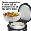 Hamilton Beach Digital Programmable Rice and Slow Cooker & Food Steamer, 20 Cups Cooked (10 Cups Uncooked), 14 Pre-Programmed Settings for Sear Sauté, Hot Cereal, Soup, Nonstick Pot, Stainless Steel (37571MN)